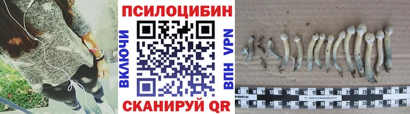 Псилоцибиновые грибы мицелий  Купить закладки  Боготол 